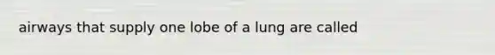 airways that supply one lobe of a lung are called