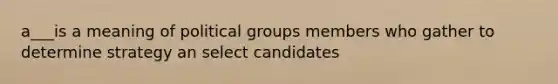 a___is a meaning of political groups members who gather to determine strategy an select candidates