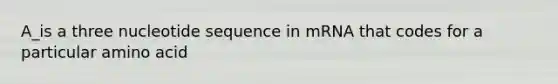 A_is a three nucleotide sequence in mRNA that codes for a particular amino acid