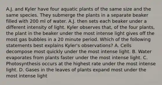 A.J. and Kyler have four aquatic plants of the same size and the same species. They submerge the plants in a separate beaker filled with 200 ml of water. A.J. then sets each beaker under a different intensity of light. Kyler observes that, of the four plants, the plant in the beaker under the most intense light gives off the most gas bubbles in a 20 minute period. Which of the following statements best explains Kyler's observations? A. Cells decompose most quickly under the most intense light. B. Water evaporates from plants faster under the most intense light. C. Photosynthesis occurs at the highest rate under the most intense light. D. Gases in the leaves of plants expand most under the most intense light