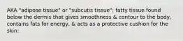 AKA "adipose tissue" or "subcutis tissue"; fatty tissue found below the dermis that gives smoothness & contour to the body, contains fats for energy, & acts as a protective cushion for the skin: