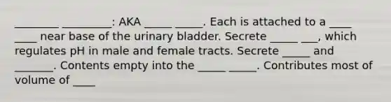 ________ _________: AKA _____ _____. Each is attached to a ____ ____ near base of the urinary bladder. Secrete _____ ___, which regulates pH in male and female tracts. Secrete _____ and _______. Contents empty into the _____ _____. Contributes most of volume of ____