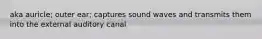 aka auricle; outer ear; captures sound waves and transmits them into the external auditory canal