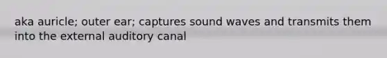 aka auricle; outer ear; captures sound waves and transmits them into the external auditory canal