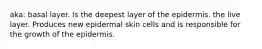 aka: basal layer. Is the deepest layer of the epidermis. the live layer. Produces new epidermal skin cells and is responsible for the growth of the epidermis.