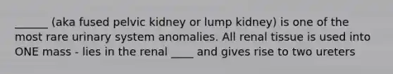 ______ (aka fused pelvic kidney or lump kidney) is one of the most rare urinary system anomalies. All renal tissue is used into ONE mass - lies in the renal ____ and gives rise to two ureters