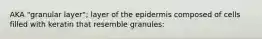 AKA "granular layer"; layer of the epidermis composed of cells filled with keratin that resemble granules: