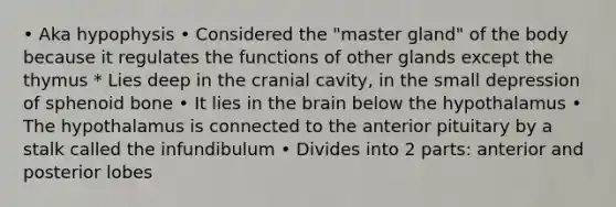 • Aka hypophysis • Considered the "master gland" of the body because it regulates the functions of other glands except the thymus * Lies deep in the cranial cavity, in the small depression of sphenoid bone • It lies in the brain below the hypothalamus • The hypothalamus is connected to the anterior pituitary by a stalk called the infundibulum • Divides into 2 parts: anterior and posterior lobes