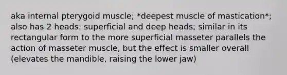 aka internal pterygoid muscle; *deepest muscle of mastication*; also has 2 heads: superficial and deep heads; similar in its rectangular form to the more superficial masseter parallels the action of masseter muscle, but the effect is smaller overall (elevates the mandible, raising the lower jaw)