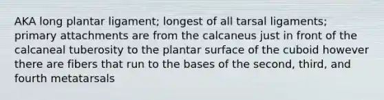 AKA long plantar ligament; longest of all tarsal ligaments; primary attachments are from the calcaneus just in front of the calcaneal tuberosity to the plantar surface of the cuboid however there are fibers that run to the bases of the second, third, and fourth metatarsals