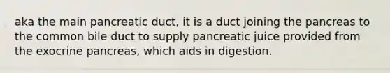 aka the main pancreatic duct, it is a duct joining the pancreas to the common bile duct to supply pancreatic juice provided from the exocrine pancreas, which aids in digestion.