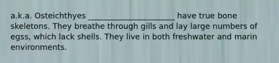 a.k.a. Osteichthyes ______________________ have true bone skeletons. They breathe through gills and lay large numbers of egss, which lack shells. They live in both freshwater and marin environments.