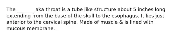 The _______ aka throat is a tube like structure about 5 inches long extending from the base of the skull to the esophagus. It lies just anterior to the cervical spine. Made of muscle & is lined with mucous membrane.