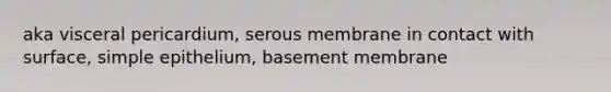 aka visceral pericardium, serous membrane in contact with surface, simple epithelium, basement membrane