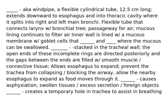 _____ - aka windpipe, a flexible cylindrical tube, 12.5 cm long; extends downward to esophagus and into thoracic cavity where it splits into right and left main bronchi. Flexible tube that connects larynx w/ bronchial tree; passageway for air; mucous lining continues to filter air Inner wall is lined w/ a mucous membrane w/ goblet cells that ______ and ____ where the mucous can be swallowed. _______ - -stacked in the tracheal wall; the open ends of these incomplete rings are directed posteriorly and the gaps between the ends are filled w/ smooth muscle / <a href='https://www.questionai.com/knowledge/kYDr0DHyc8-connective-tissue' class='anchor-knowledge'>connective tissue</a>; Allows esophagus to expand; prevent the trachea from collapsing / blocking the airway, allow the nearby esophagus to expand as food moves through it. ______ - causes asphyxiation, swollen tissues / excess secretion / foreign objects ______ - creates a temporary hole in trachea to assist in breathing