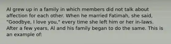 Al grew up in a family in which members did not talk about affection for each other. When he married Fatimah, she said, "Goodbye, I love you," every time she left him or her in-laws. After a few years, Al and his family began to do the same. This is an example of: