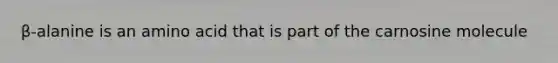 β-alanine is an amino acid that is part of the carnosine molecule