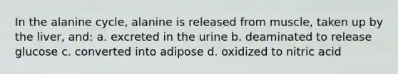 In the alanine cycle, alanine is released from muscle, taken up by the liver, and: a. excreted in the urine b. deaminated to release glucose c. converted into adipose d. oxidized to nitric acid