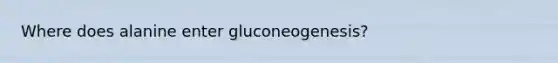 Where does alanine enter gluconeogenesis?