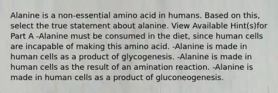 Alanine is a non-essential amino acid in humans. Based on this, select the true statement about alanine. View Available Hint(s)for Part A -Alanine must be consumed in the diet, since human cells are incapable of making this amino acid. -Alanine is made in human cells as a product of glycogenesis. -Alanine is made in human cells as the result of an amination reaction. -Alanine is made in human cells as a product of gluconeogenesis.