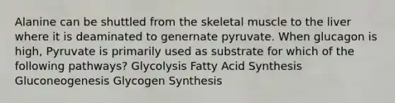 Alanine can be shuttled from the skeletal muscle to the liver where it is deaminated to genernate pyruvate. When glucagon is high, Pyruvate is primarily used as substrate for which of the following pathways? Glycolysis Fatty Acid Synthesis Gluconeogenesis Glycogen Synthesis