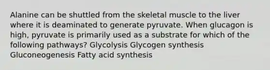 Alanine can be shuttled from the skeletal muscle to the liver where it is deaminated to generate pyruvate. When glucagon is high, pyruvate is primarily used as a substrate for which of the following pathways? Glycolysis Glycogen synthesis Gluconeogenesis Fatty acid synthesis