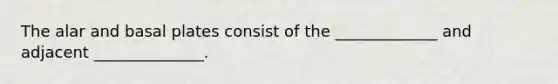 The alar and basal plates consist of the _____________ and adjacent ______________.
