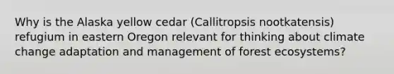 Why is the Alaska yellow cedar (Callitropsis nootkatensis) refugium in eastern Oregon relevant for thinking about climate change adaptation and management of forest ecosystems?