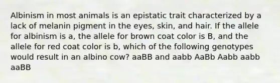 Albinism in most animals is an epistatic trait characterized by a lack of melanin pigment in the eyes, skin, and hair. If the allele for albinism is a, the allele for brown coat color is B, and the allele for red coat color is b, which of the following genotypes would result in an albino cow? aaBB and aabb AaBb Aabb aabb aaBB