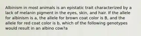 Albinism in most animals is an epistatic trait characterized by a lack of melanin pigment in the eyes, skin, and hair. If the allele for albinism is a, the allele for brown coat color is B, and the allele for red coat color is b, which of the following genotypes would result in an albino cow?a