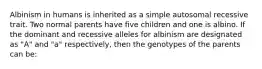 Albinism in humans is inherited as a simple autosomal recessive trait. Two normal parents have five children and one is albino. If the dominant and recessive alleles for albinism are designated as "A" and "a" respectively, then the genotypes of the parents can be: