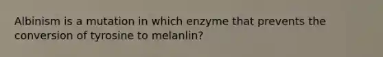 Albinism is a mutation in which enzyme that prevents the conversion of tyrosine to melanlin?