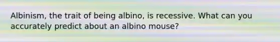 Albinism, the trait of being albino, is recessive. What can you accurately predict about an albino mouse?