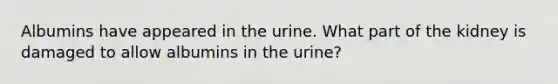 Albumins have appeared in the urine. What part of the kidney is damaged to allow albumins in the urine?