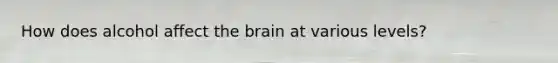 How does alcohol affect <a href='https://www.questionai.com/knowledge/kLMtJeqKp6-the-brain' class='anchor-knowledge'>the brain</a> at various levels?