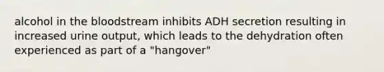 alcohol in the bloodstream inhibits ADH secretion resulting in increased urine output, which leads to the dehydration often experienced as part of a "hangover"