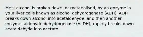 Most alcohol is broken down, or metabolised, by an enzyme in your liver cells known as alcohol dehydrogenase (ADH). ADH breaks down alcohol into acetaldehyde, and then another enzyme, aldehyde dehydrogenase (ALDH), rapidly breaks down acetaldehyde into acetate.