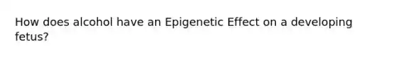 How does alcohol have an Epigenetic Effect on a developing fetus?