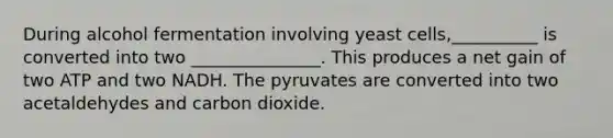 During alcohol fermentation involving yeast cells,__________ is converted into two _______________. This produces a net gain of two ATP and two NADH. The pyruvates are converted into two acetaldehydes and carbon dioxide.