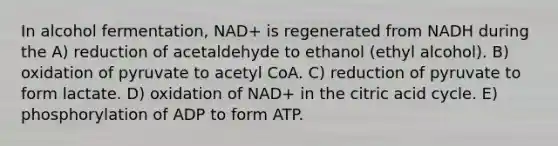 In alcohol fermentation, NAD+ is regenerated from NADH during the A) reduction of acetaldehyde to ethanol (ethyl alcohol). B) oxidation of pyruvate to acetyl CoA. C) reduction of pyruvate to form lactate. D) oxidation of NAD+ in the citric acid cycle. E) phosphorylation of ADP to form ATP.