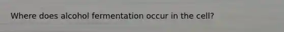 Where does alcohol fermentation occur in the cell?