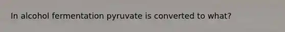 In alcohol fermentation pyruvate is converted to what?