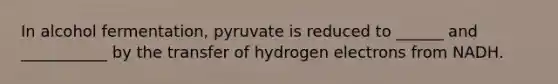 In alcohol fermentation, pyruvate is reduced to ______ and ___________ by the transfer of hydrogen electrons from NADH.