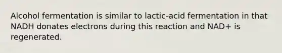 Alcohol fermentation is similar to lactic-acid fermentation in that NADH donates electrons during this reaction and NAD+ is regenerated.