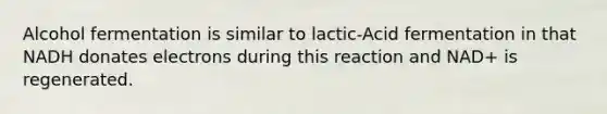 Alcohol fermentation is similar to lactic-Acid fermentation in that NADH donates electrons during this reaction and NAD+ is regenerated.