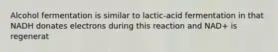 Alcohol fermentation is similar to lactic-acid fermentation in that NADH donates electrons during this reaction and NAD+ is regenerat