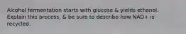 Alcohol fermentation starts with glucose & yields ethanol. Explain this process, & be sure to describe how NAD+ is recycled.