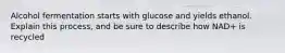 Alcohol fermentation starts with glucose and yields ethanol. Explain this process, and be sure to describe how NAD+ is recycled