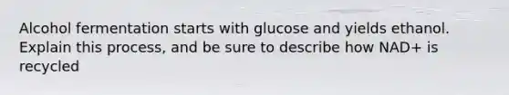 Alcohol fermentation starts with glucose and yields ethanol. Explain this process, and be sure to describe how NAD+ is recycled