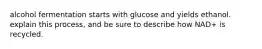 alcohol fermentation starts with glucose and yields ethanol. explain this process, and be sure to describe how NAD+ is recycled.